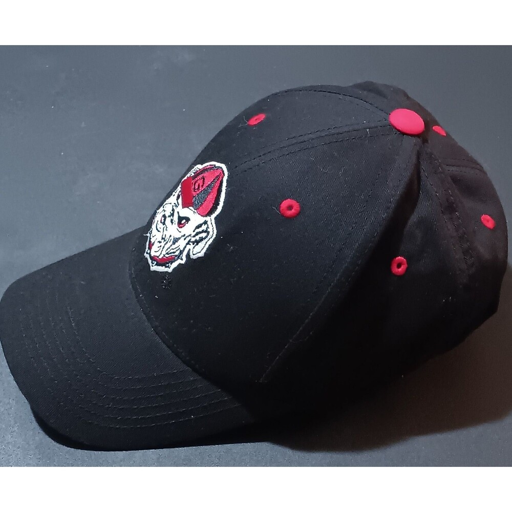 Black Georgia bulldogs hat